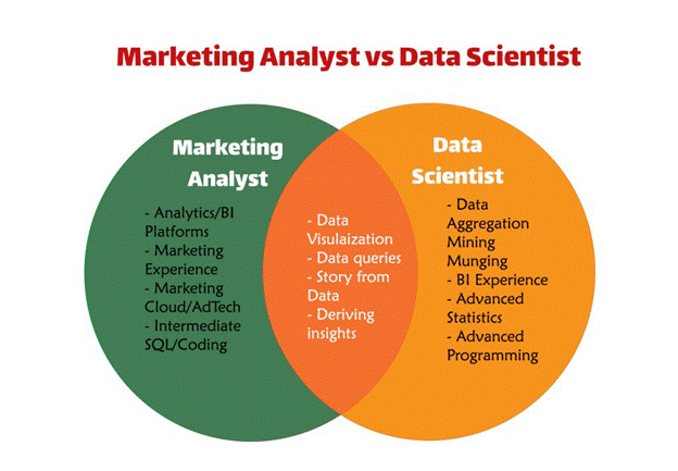 What Does A Marketing Data Scientist Or Business Analyst Do